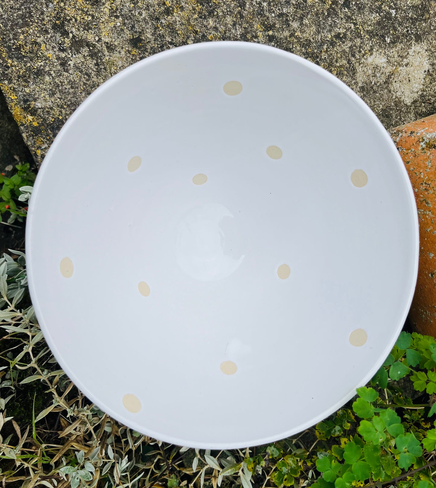 Daisy Bowl