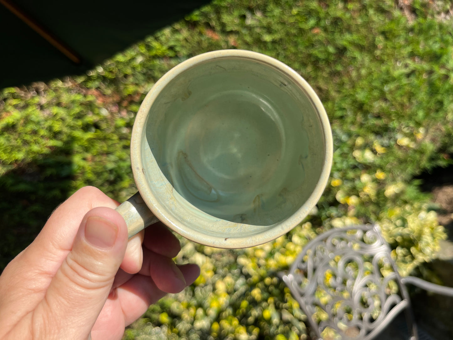 Kiwi mugs