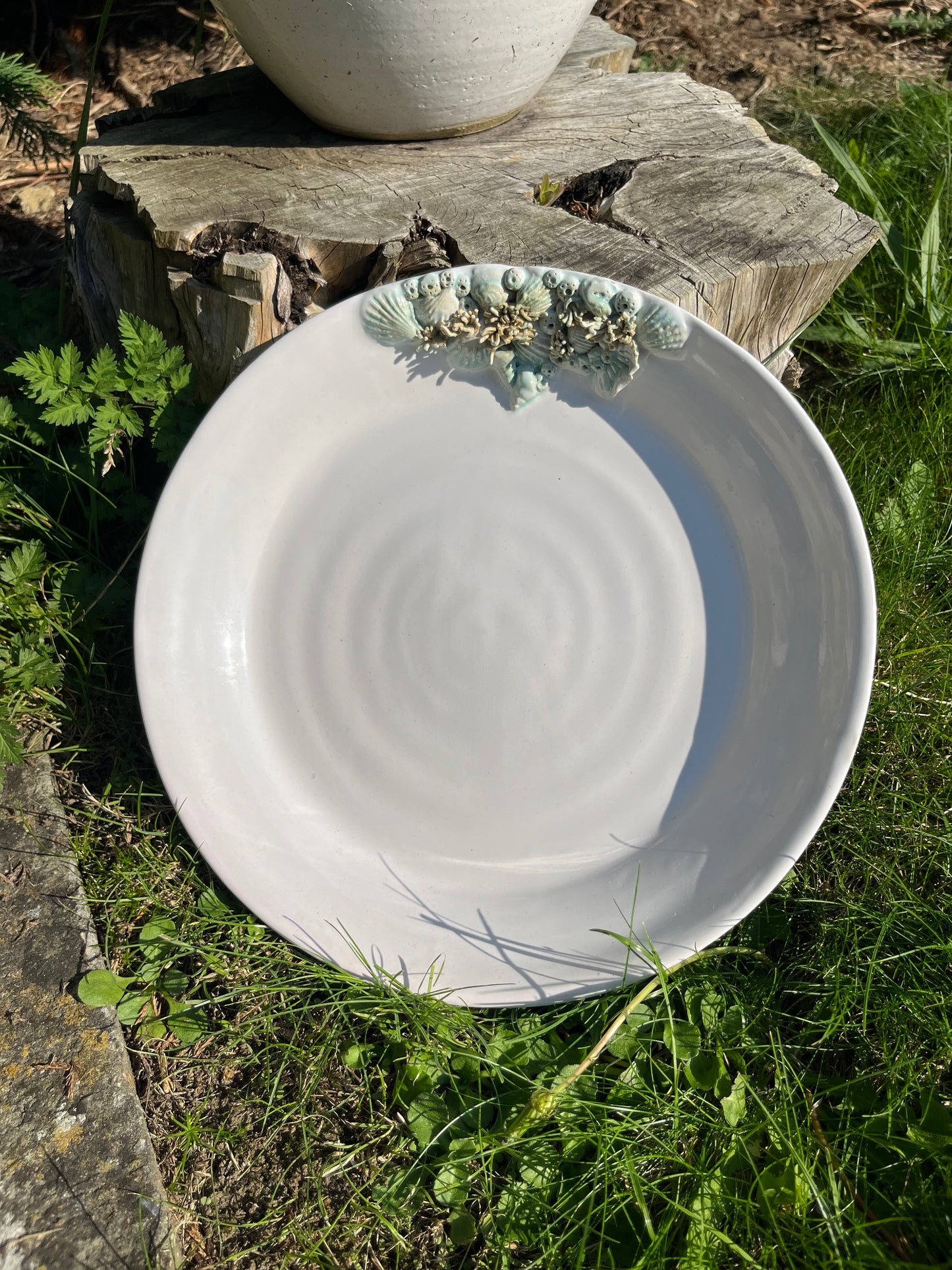 Seashore plate in white and green