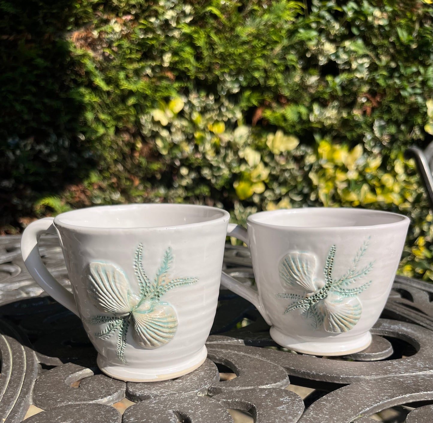 Seashore cups
